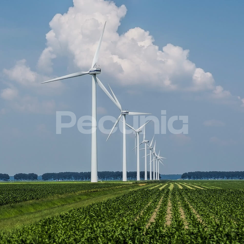 Wind Power Plant