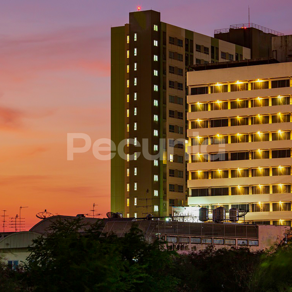 Five Star Hotel